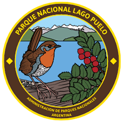 información parque nacional lago puelo